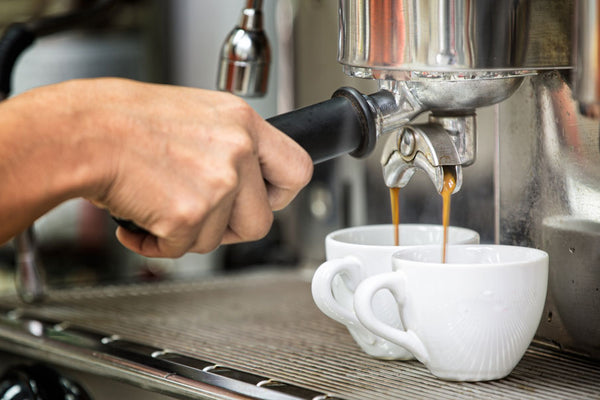 Norbi at omgula qorta